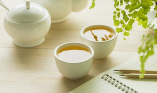 喝过茶叶能浇发财树吗 喝过茶叶能不能浇发财树