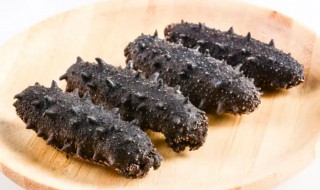 冷冻海参一个月还能吃吗 海参冷冻能放多久