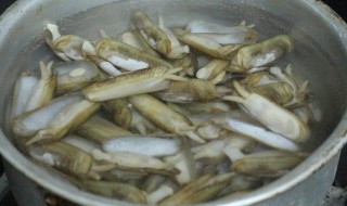 蛏子放一夜了还能吃吗 蛏子放水里过夜还能吃吗