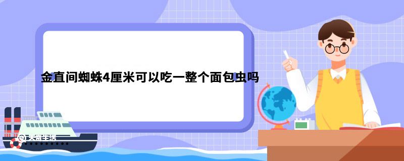 金直间蜘蛛4厘米可以吃一整个面包虫吗