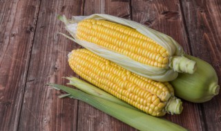 减脂能吃玉米吗 减肥的人能吃玉米吗
