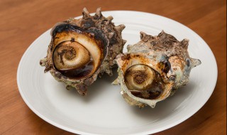 煮熟的海螺第二天能吃吗 煮熟的海螺第二天可以吃吗
