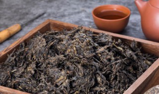 茶叶水加盐能不能浇花 茶叶水加盐能浇花吗