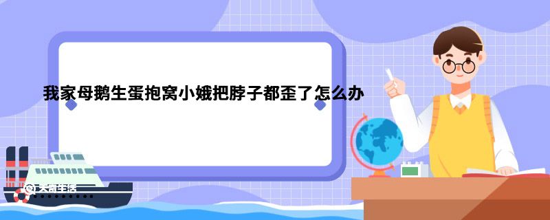 我家母鹅生蛋抱窝小娥把脖子都歪了怎么办