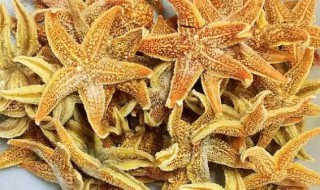 海星不能和什么一起吃 海星有相克的东西吗