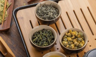 茶叶都是同一种植物吗 茶叶都是不是同一种植物