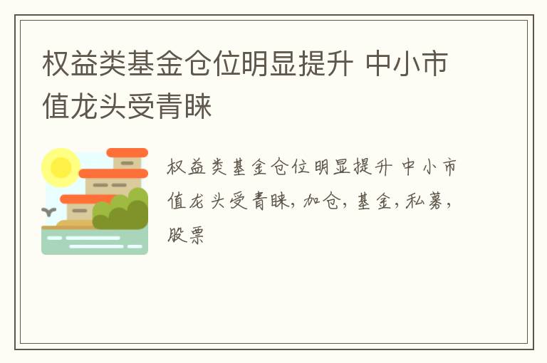 权益类基金仓位明显提升 中小市值龙头受青睐