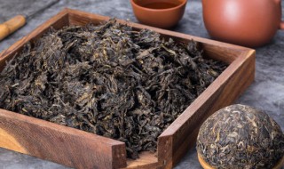 茶叶的保存期限介绍 茶叶的保存期限