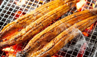 冷冻鳗鱼一个月还能吃吗 冷冻鳗鱼一个月能不能吃