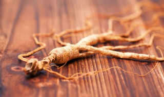 玄参有什么功效 玄参的功效与作用有哪些