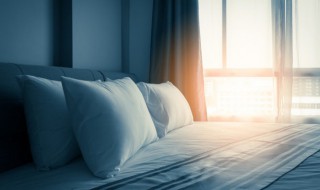 茶叶能不能装枕头 茶叶能装枕头吗