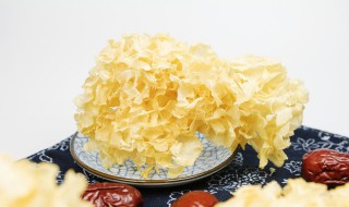 银耳泡了一夜还能吃吗 银耳泡了一夜能不能吃