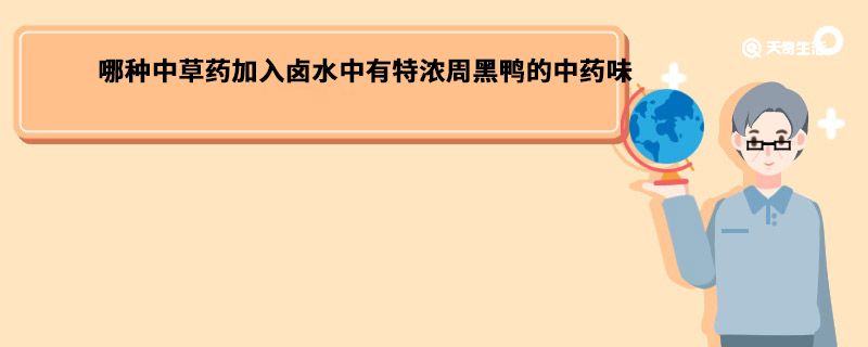 哪种中草药加入卤水中有特浓周黑鸭的中药味