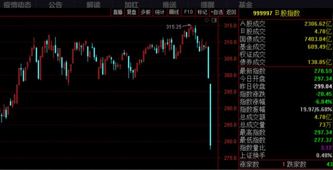 B股指数午后跌幅达7% 中毅达B等多只个股跌停