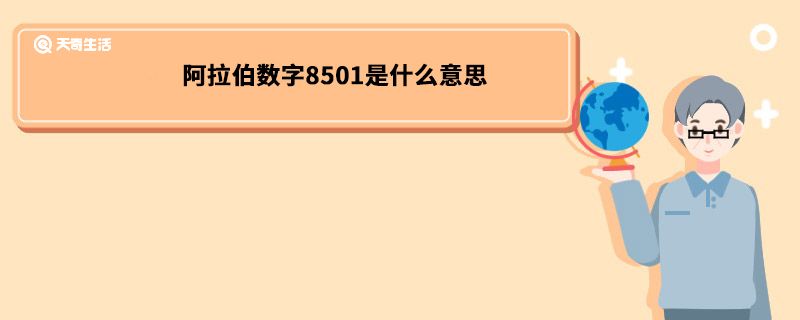 阿拉伯数字8501是什么意思