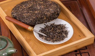 如何判断茶叶存活性 茶叶存活性的重要性