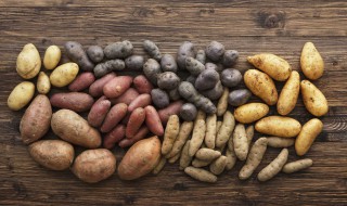 发芽的土豆煮熟能吃吗 发芽的土豆煮熟能不能吃