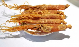 红参的功效与作用有哪些 红参的功效介绍