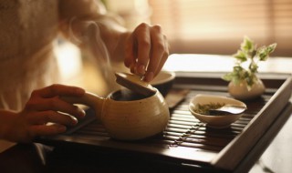 大乌叶茶功效与作用是什么 大乌叶茶有什么功效与作用