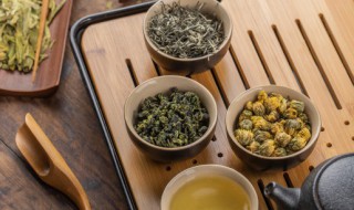 白芽奇兰是什么 白芽奇兰茶介绍