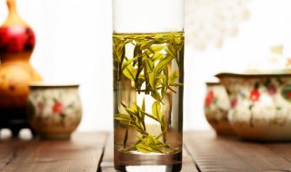 浮来春是什么茶 浮来春简单介绍