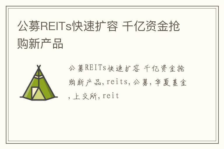 公募REITs快速扩容 千亿资金抢购新产品