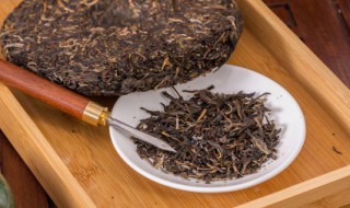 福云六号是什么茶 福云六号是哪种茶