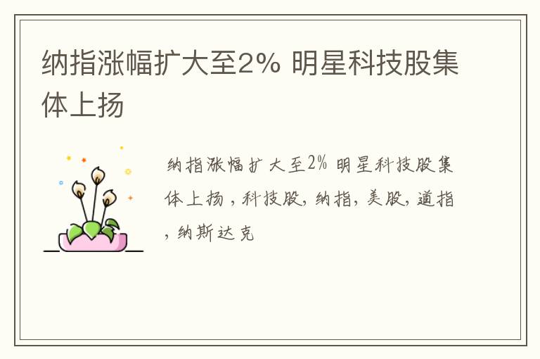 纳指涨幅扩大至2% 明星科技股集体上扬