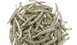大白毫茶叶的功效作用 大白毫茶叶有什么功效作用