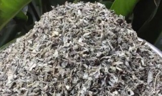 丽江雪茶是什么茶 丽江雪茶是哪种茶