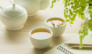 金麦穗是什么茶 金麦穗的简介