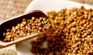 苦荞茶的功效与作用是什么 苦荞茶有什么功效与作用