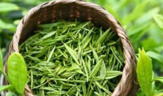 茶湄潭翠芽的功效与作用 茶湄潭翠芽的功效与作用是什么