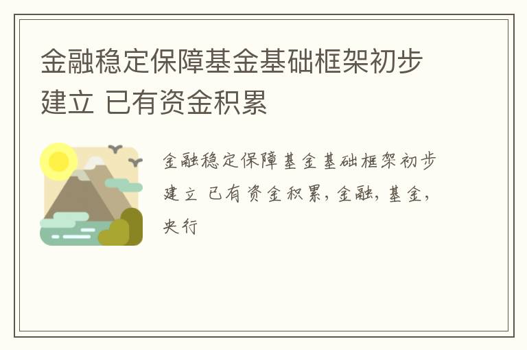 金融稳定保障基金基础框架初步建立 已有资金积累