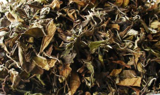 寿眉茶是什么茶 寿眉茶的简介