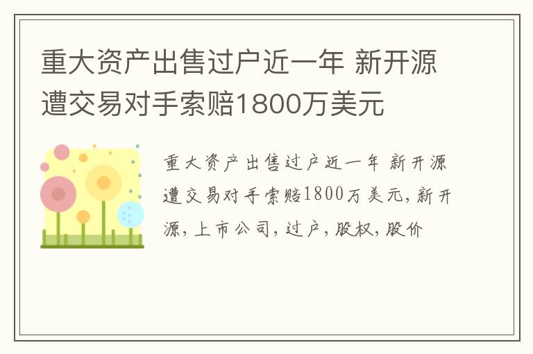 重大资产出售过户近一年 新开源遭交易对手索赔1800万美元