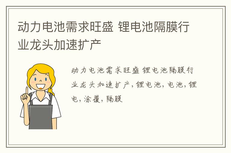 动力电池需求旺盛 锂电池隔膜行业龙头加速扩产