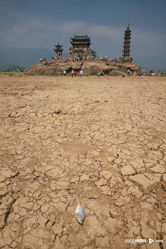 干旱下的鄱阳湖，农民找水救田：“不可能就这么算了”