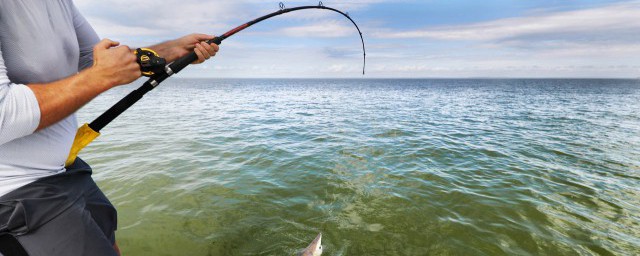 钓鱼怎样判断主线和子线 怎样区分鱼线的主线子线