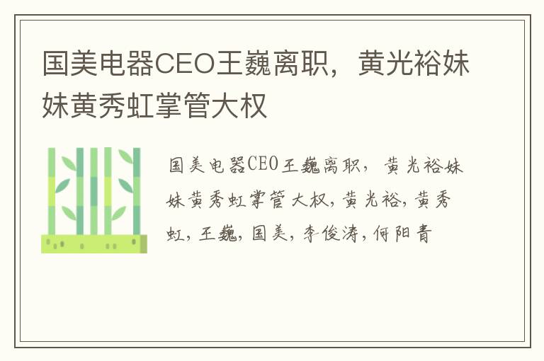 国美电器CEO王巍离职，黄光裕妹妹黄秀虹掌管大权