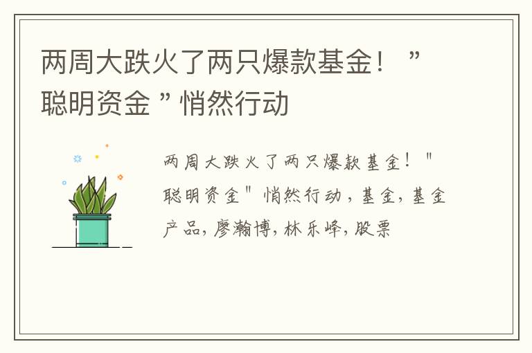 两周大跌火了两只爆款基金！＂聪明资金＂悄然行动