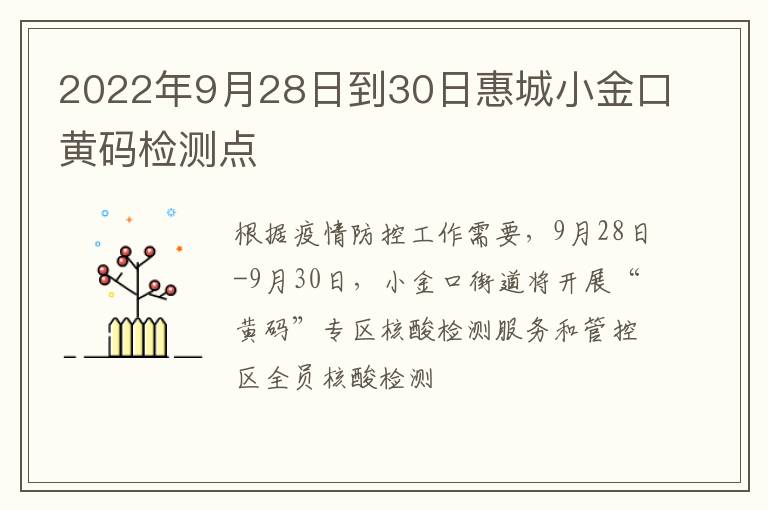 2022年9月28日到30日惠城小金口黄码检测点