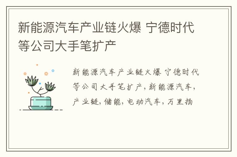 新能源汽车产业链火爆 宁德时代等公司大手笔扩产