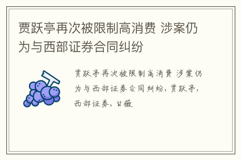 贾跃亭再次被限制高消费 涉案仍为与西部证券合同纠纷