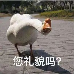 初中的第一个月，你的感受如何？