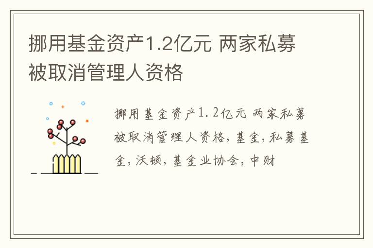 挪用基金资产1.2亿元 两家私募被取消管理人资格