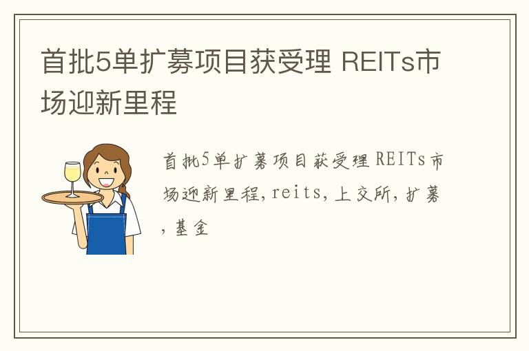 首批5单扩募项目获受理 REITs市场迎新里程