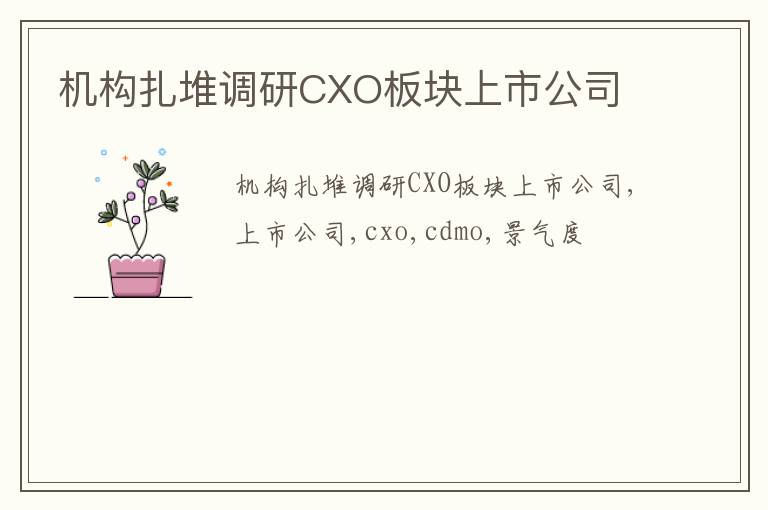 机构扎堆调研CXO板块上市公司