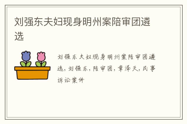 刘强东夫妇现身明州案陪审团遴选