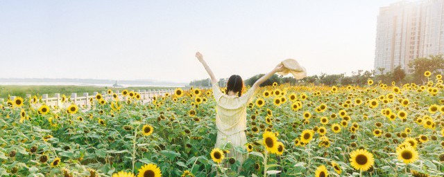 干净简约两字昵称 女生昵称温柔干净